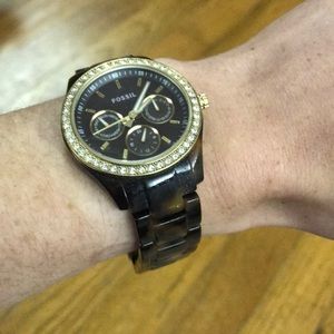 Tortoise Fossil Watch with Gold